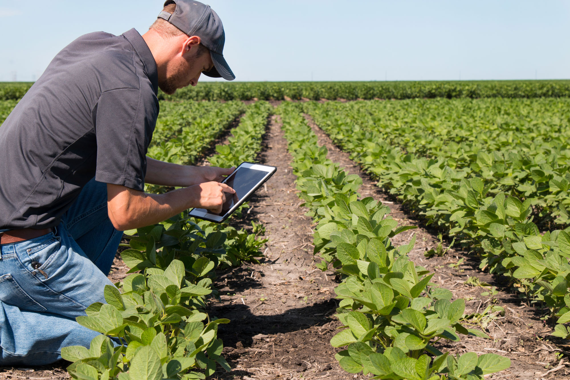man in field with tablet